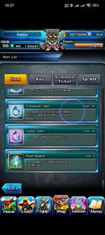 Screenshot_2024-02-24-18-37-25-906_jp.goodsmile.grandsummonersglobal_android.jpg