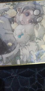 received_2688678177951127.jpeg