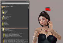 Screenshot second life.png