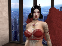 Snapshot_004.png