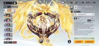 Screenshot_20240301_180058_Aether Gazer.jpg