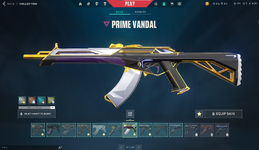 image5.png
