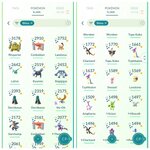 SHINY 1.jpg