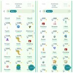 SHINY 2.jpg