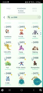 Screenshot_20240219_230035_Pokmon GO.jpg