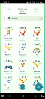 Screenshot_20240219_230211_Pokmon GO.jpg