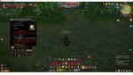 1 pet.jpg