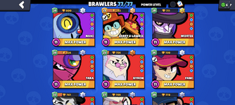 3.png