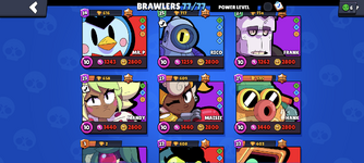 7.png