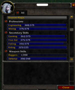 ds2.jpg