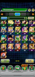 Screenshot_20240316_231315_Dokkan.jpg