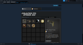 CS Badges.PNG