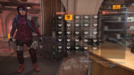 Tom Clancy's The Division 2 Screenshot 2024.03.22 - 00.44.30.61.png