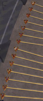 IMG_8652.jpg