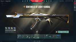 vandal1.png