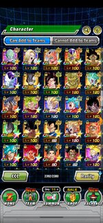 Screenshot_20240403_203550_Dokkan.jpg