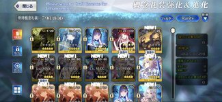 FGO3.jpg