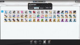 Inventory_2.jpg