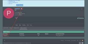 Screenshot 2024-04-08 at 11.06.24 PM.png