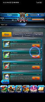 Screenshot_2024-04-11-22-23-09-978_jp.goodsmile.grandsummonersglobal_android.jpg