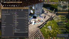 bdo acc 11.png