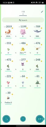 Screenshot_20211018-103442_Pokmon GO.jpg