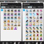 IMG_2461.jpeg