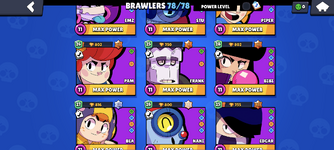 5.png