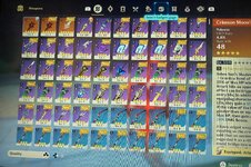 IMG_1838.jpeg