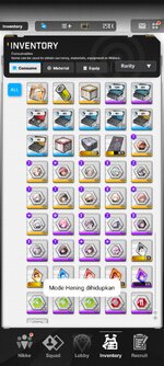 Screenshot_2024-05-03-08-17-53-075_com.proximabeta.nikke.jpg