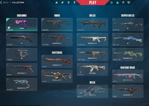 Skins.png