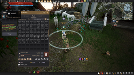 BLACK DESERT - 468155 10.05.2024 05_33_54.png