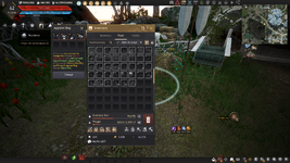BLACK DESERT - 468155 10.05.2024 05_34_16.png