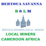 BSLMGOLD Bertoua savanna local miners Cameroon.png