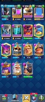 Screenshot_2024-05-19-19-31-20-774_com.supercell.clashroyale.jpg