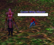 pet.png