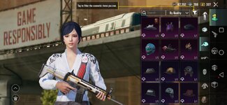 Screenshot_20240522_154536_com.pubg.imobile.jpg
