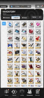 Screenshot_2024-05-23-16-34-41-969_com.proximabeta.nikke.jpg