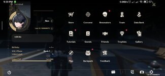 Screenshot_2024-05-23-21-59-10-618_com.kurogame.wutheringwaves.global.jpg