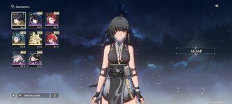 Screenshot_2024-05-24-12-55-14-248_com.kurogame.wutheringwaves.global.jpg