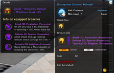 Brooches hat x3.png