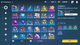 bag.jpg