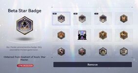 badges.JPG