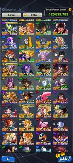 Screenshot_20240601_125954_com.bandainamcoent.dblegends_ww.jpg