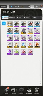 Screenshot_2024-06-02-23-24-07-460_com.proximabeta.nikke.jpg