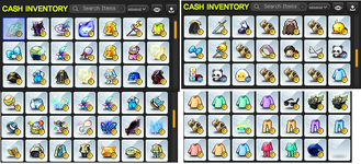 Cashitems1.png
