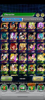 Screenshot_2024-06-03-09-02-47-315_com.bandainamcogames.dbzdokkanww.jpg