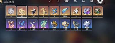 HSR Valuables.JPG