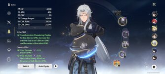 Screenshot_2024-06-03-15-36-23-170_com.kurogame.wutheringwaves.global.jpg