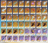 IMG_5642.jpeg